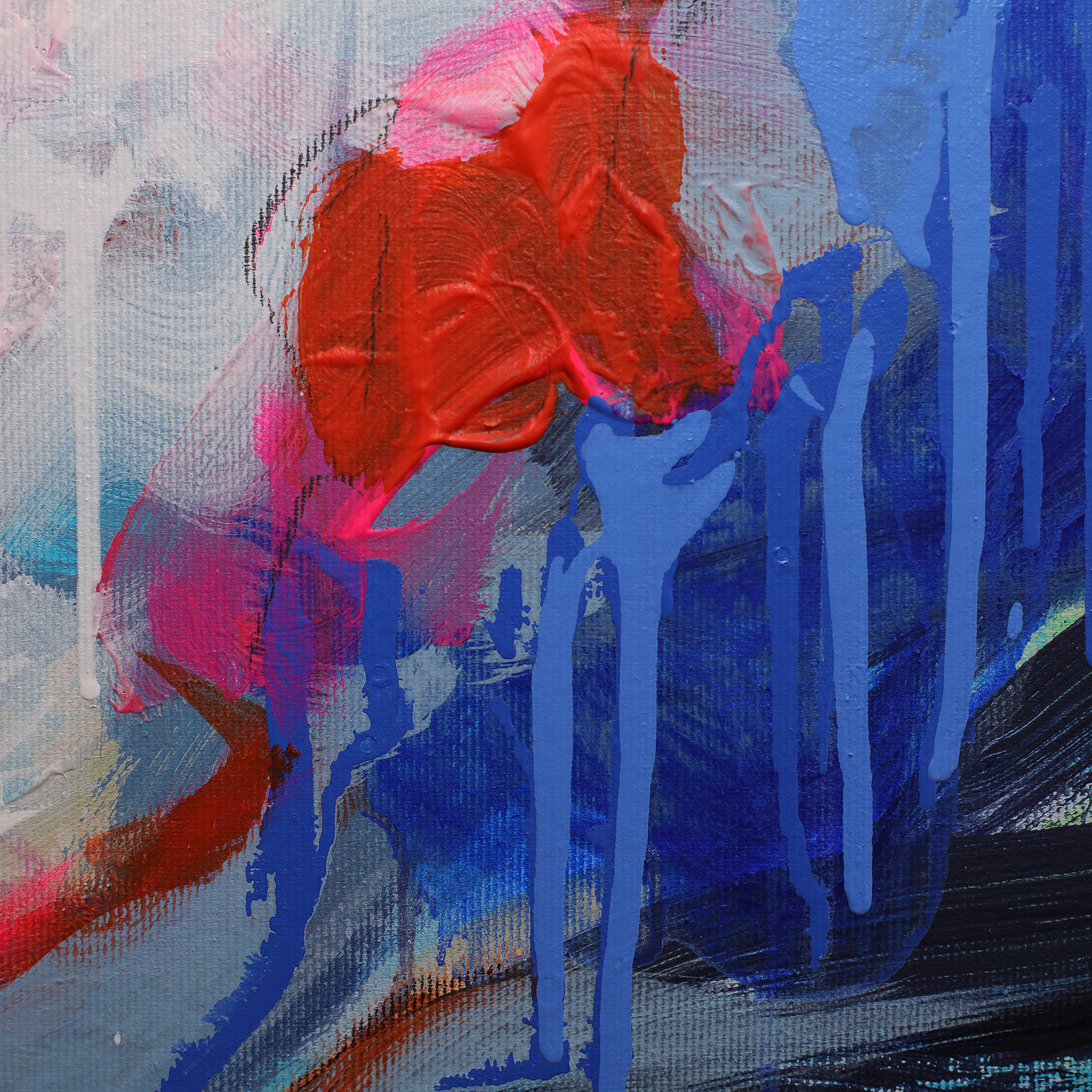 Nahaufnahme XXL XL Gemälde Bild weiss blau Blume Bluete Garten Mohn Rose Pfingst abstrakt