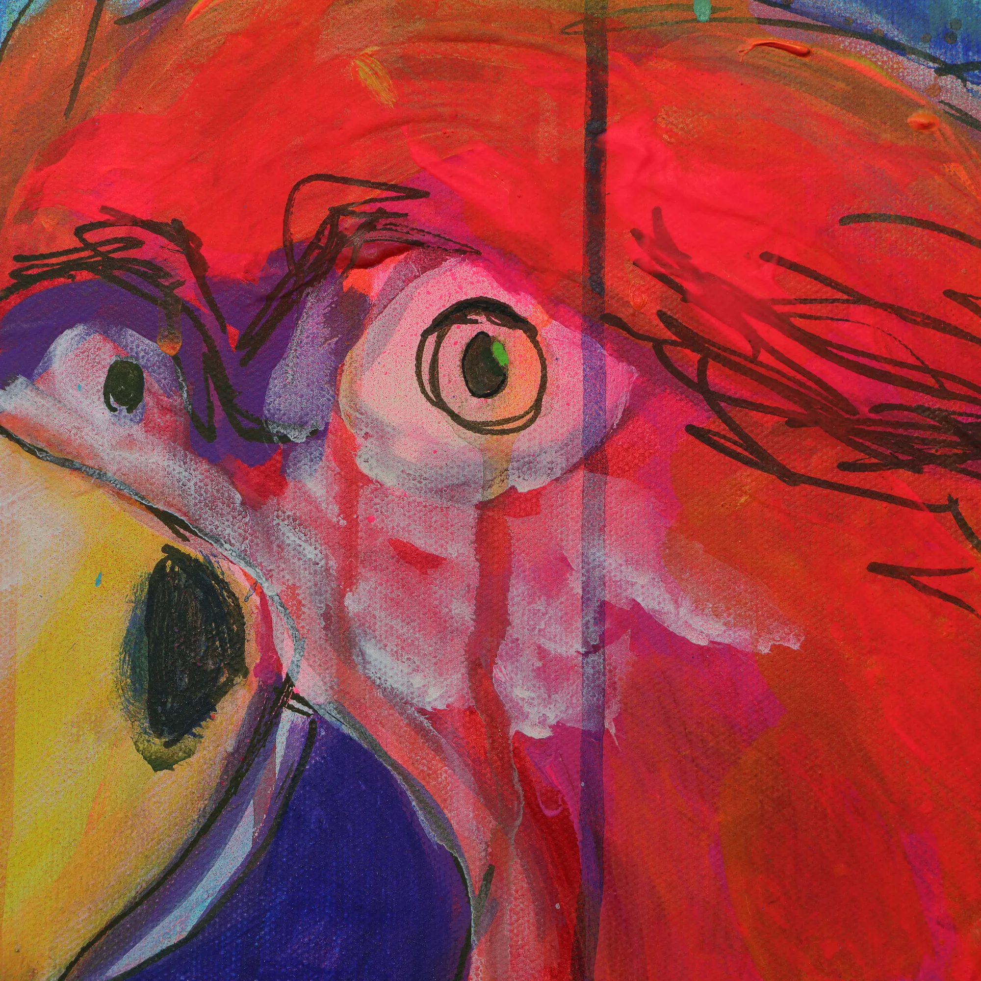 Nahaufnahme XL Wand Gemaelde Bild Vogel Papagei neon rot blau abstrakt Tier Ara Portraet Art