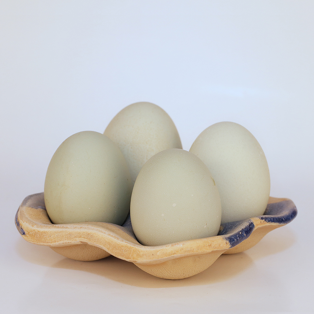 Beige Blue Egg Tray - 11 x 11,5 cm - 5 Euro
