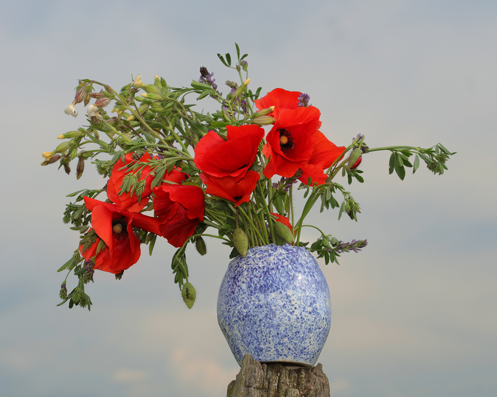 Nahaufnahme Keramik Kleine blau weiss gepunktete Blumen Vase Steinzeug abstrakt Kunst Unikat
